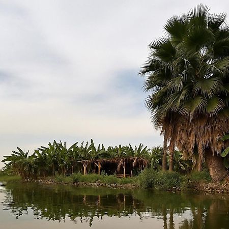 Il Campo Boutique Ecolodge El Hawamdeya エクステリア 写真