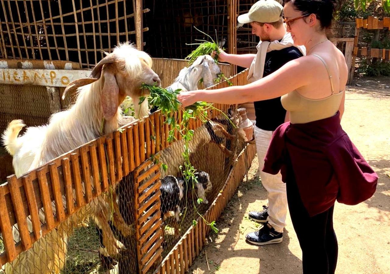 Il Campo Boutique Ecolodge El Hawamdeya エクステリア 写真